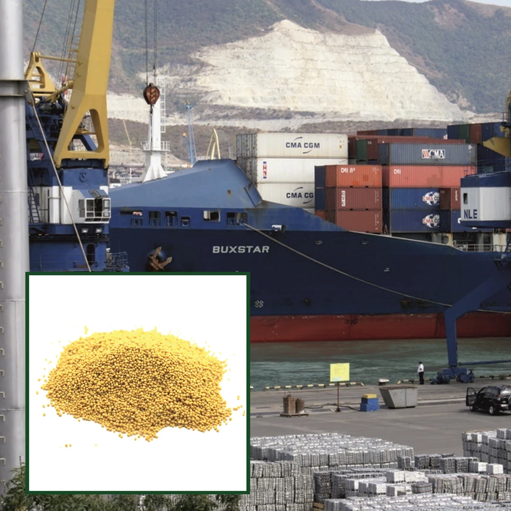 High quality organic yellow mustard seeds in bulk from manufacturer, natural mustard seed wholesale prices