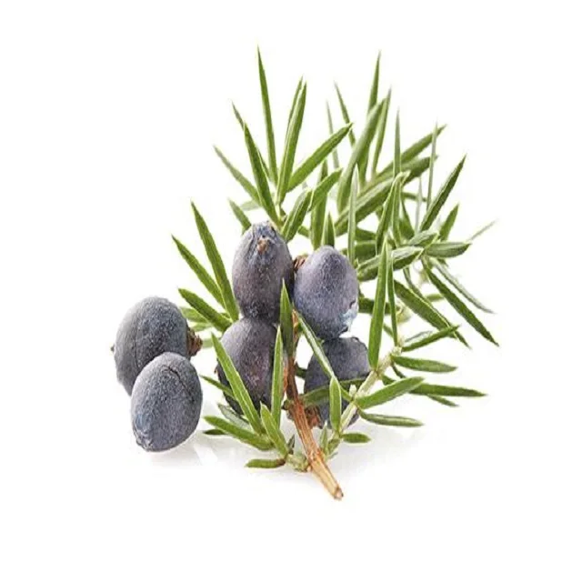 WHO Certified Cade Oil Wholesale Suppliers At Lowest Price