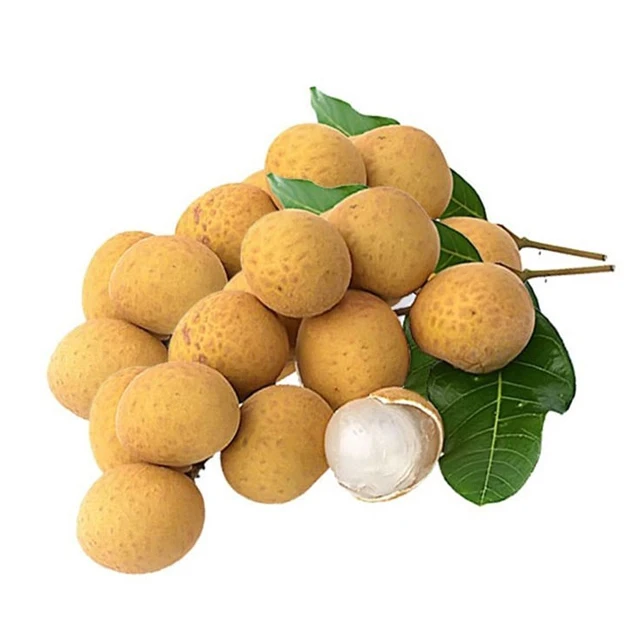 Fresh Longan made in vietnam 100% Natural Organic Cultivation type Wholesale Hot 2022
