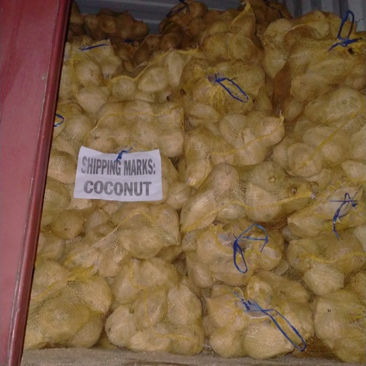 Big Supply Organic Semi-Husked Coconut From Vietnam Fresh Whole Husk with Sweet Fruit and Pulp