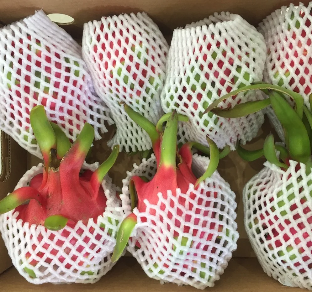 CUSTOMIZED LOGO FRESH RED DRAGON FRUIT FOR EXPORT FROM VIETNAM