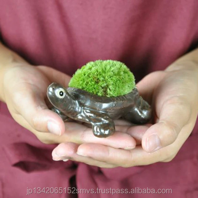 
Exclusive bonsai pot ceramic real moss animal bonsai nursery pots Japan Made 