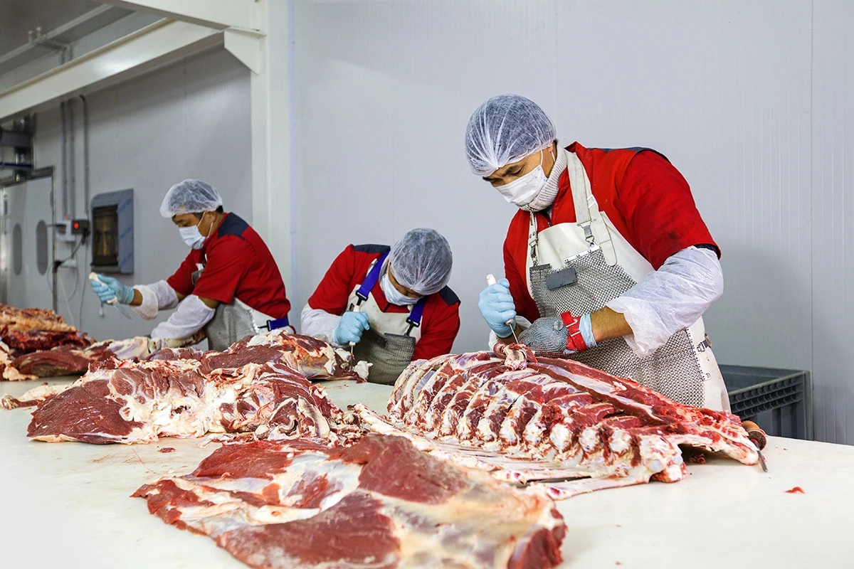 
Great taste Halal Beef Premium from Kazakhland 