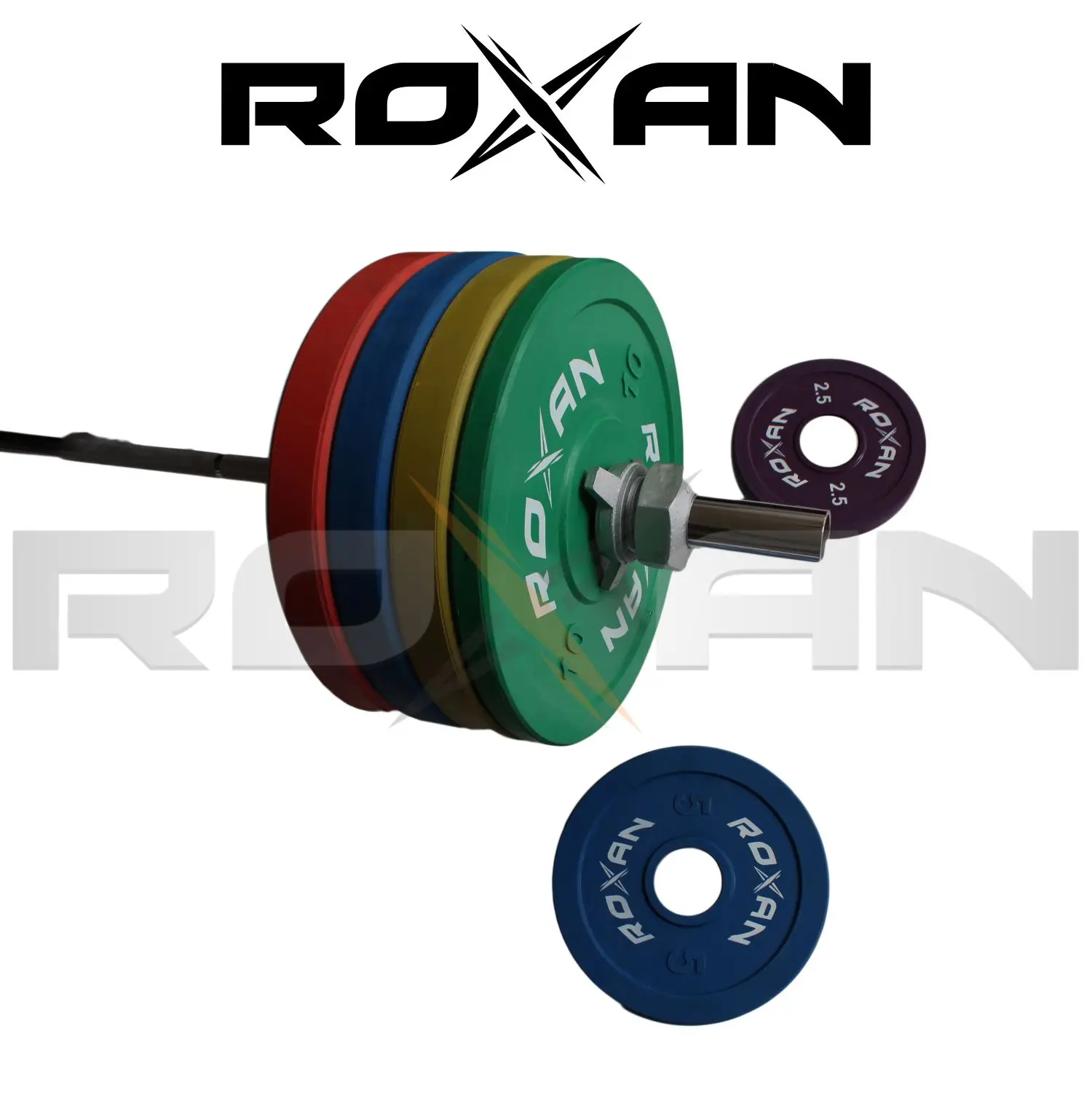 
Fitness Accessories 50 mm Centre Hole Bumper Weight Lifting Plate | High Quality Bumper Plate in wholesale price 