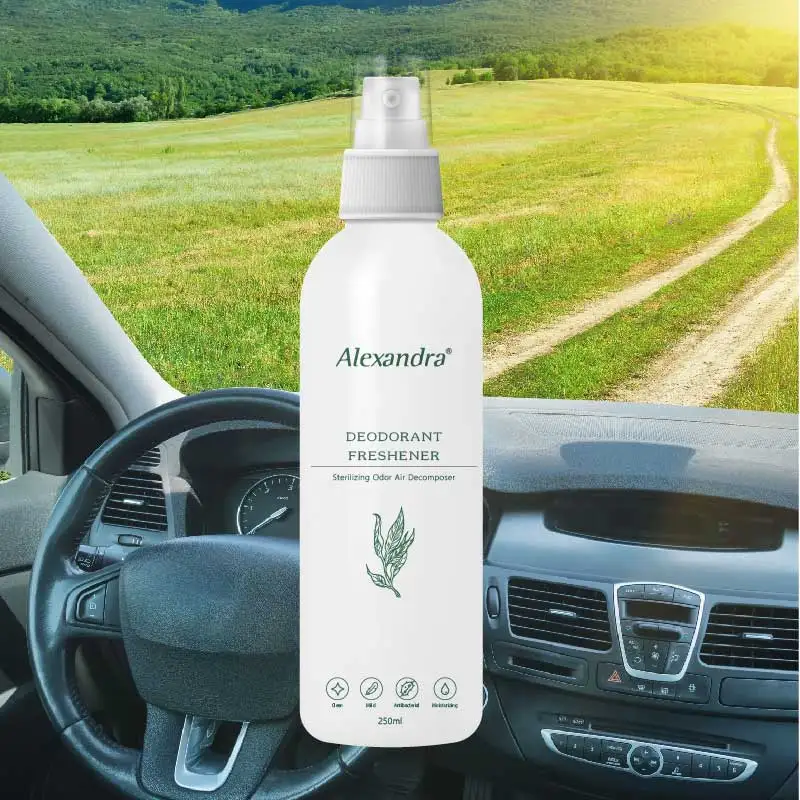Best car air fresheners for 2022 Deodorant Spray foe car