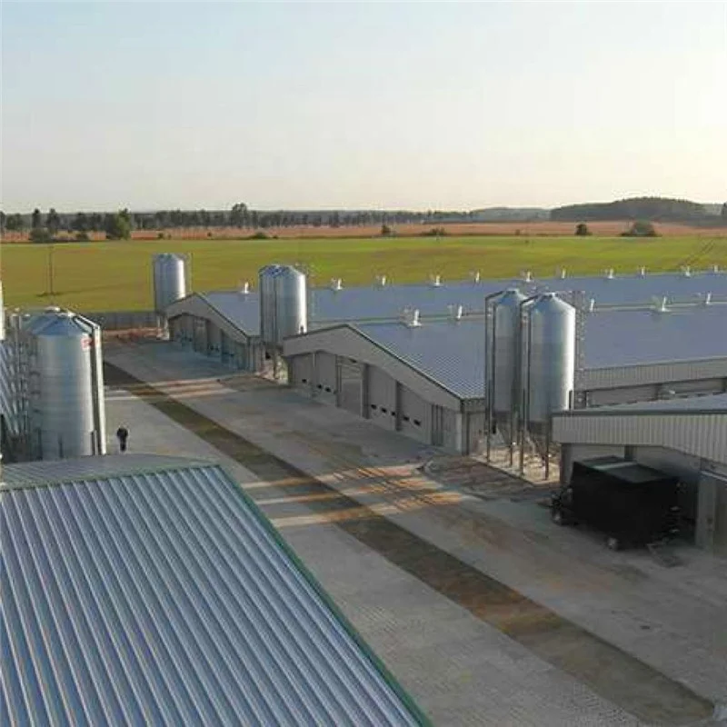Cheap Steel Industrial Automatic Broiler Poultry Farm Chicken House for 10000 Chickens