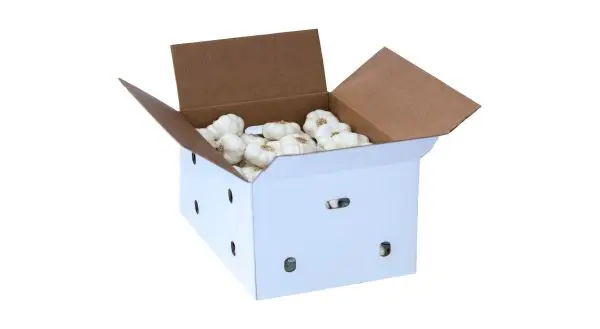 wholesale imported 4p 6p pure SPRING WHITE GARLIC FROM SPAIN. red garlic in bulk 10kg mesh bag