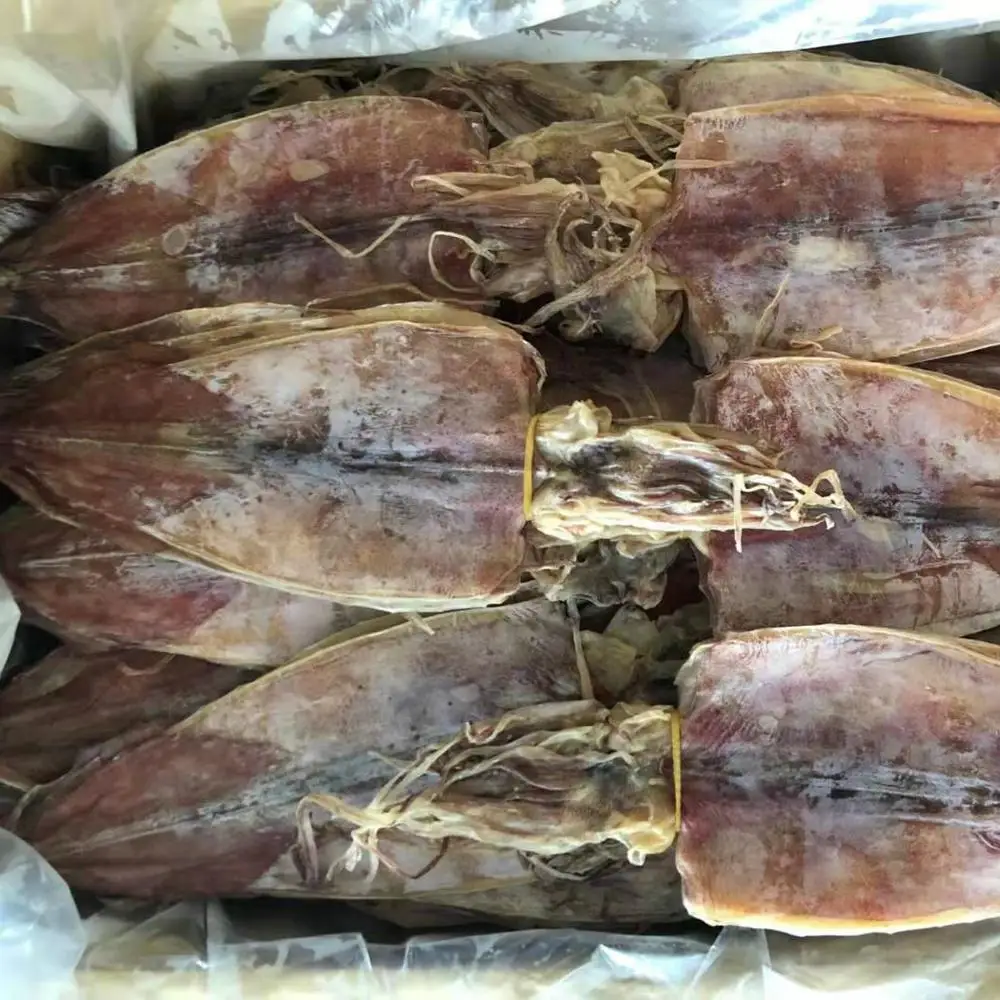 
Dried Squid / Cuttlefish 