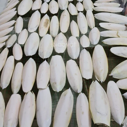 DRIED SQUID BONE/MS. GINA +84 347 436 085 (WHATSAPP)