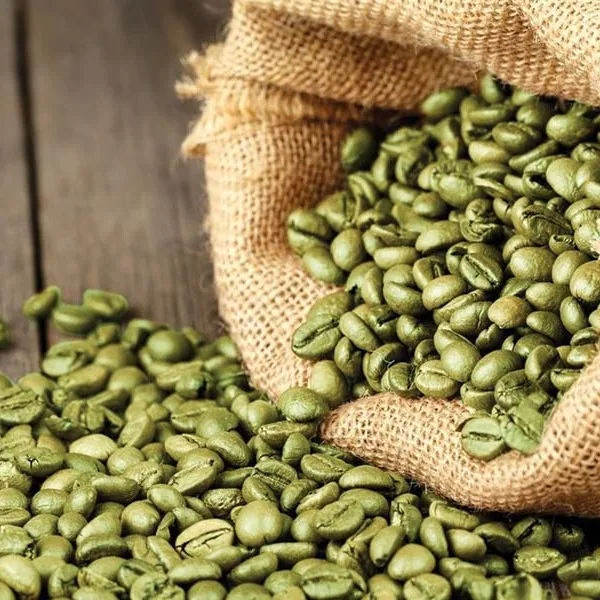 Оптовая цена кофейные зерна арабики 100% Органический кофе от вьетнамского агробренда