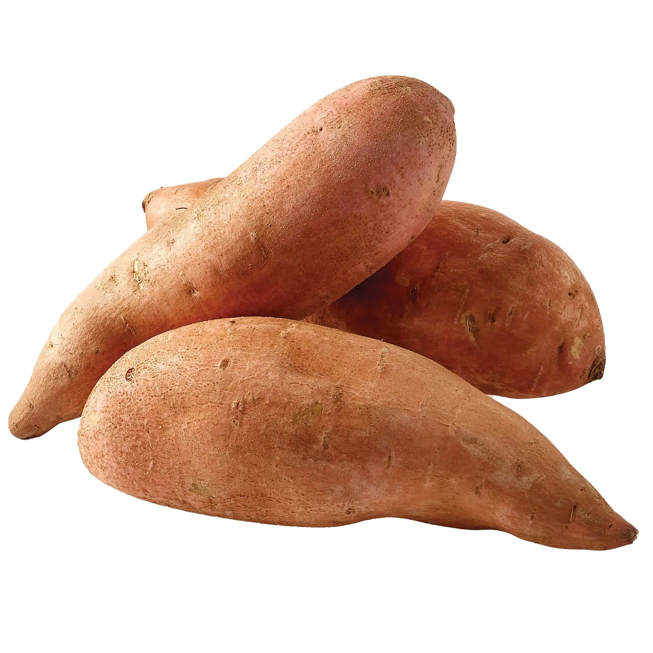 
HIGH QUALITY FRESH SWEET POTATO VIETNAM 