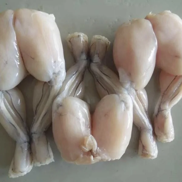 High Quality Skinless Frozen Frog Offered