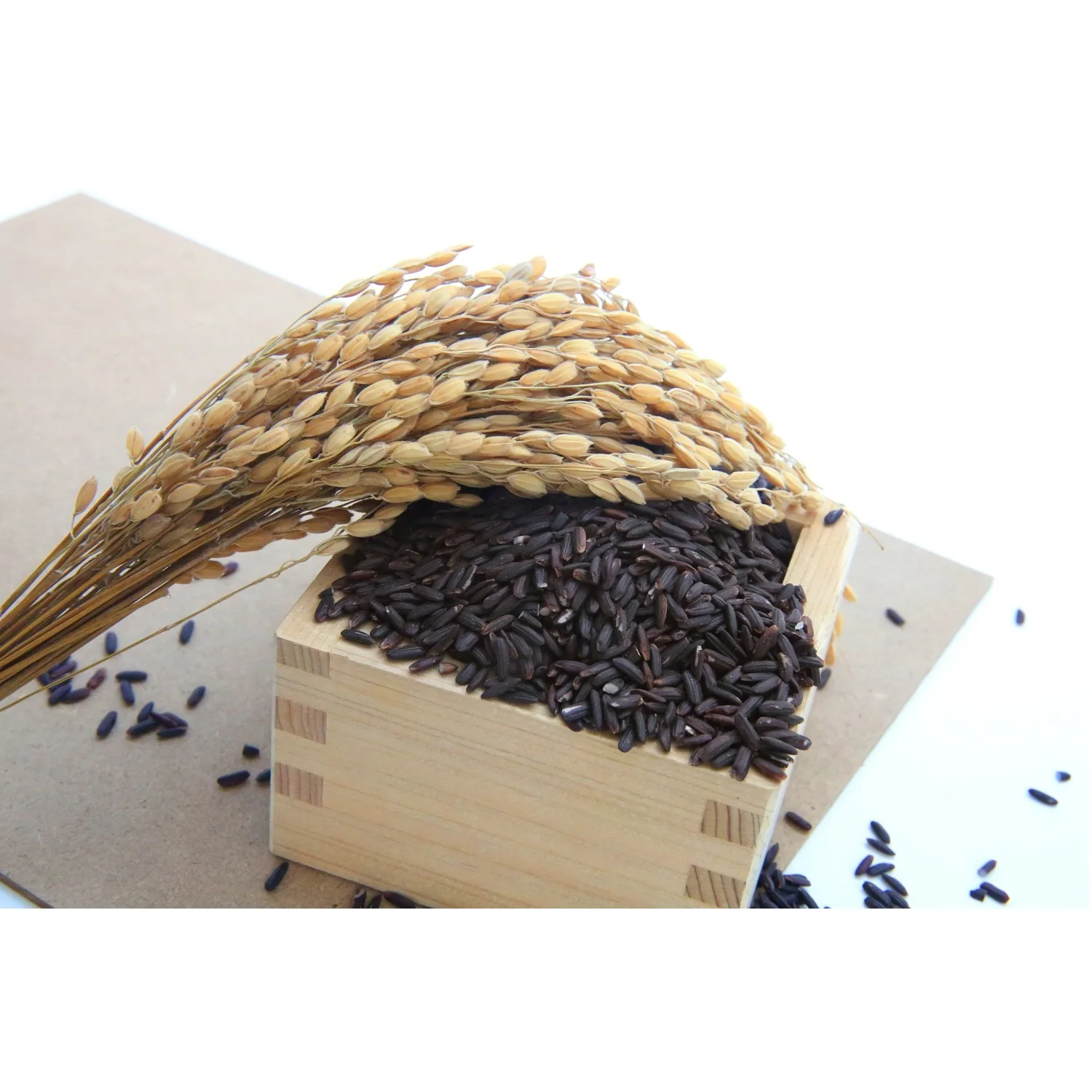 
Viet Nam High Quality Soft 5% standard Fresh Aromatic Rice BLACK RICE Healthy Rice 