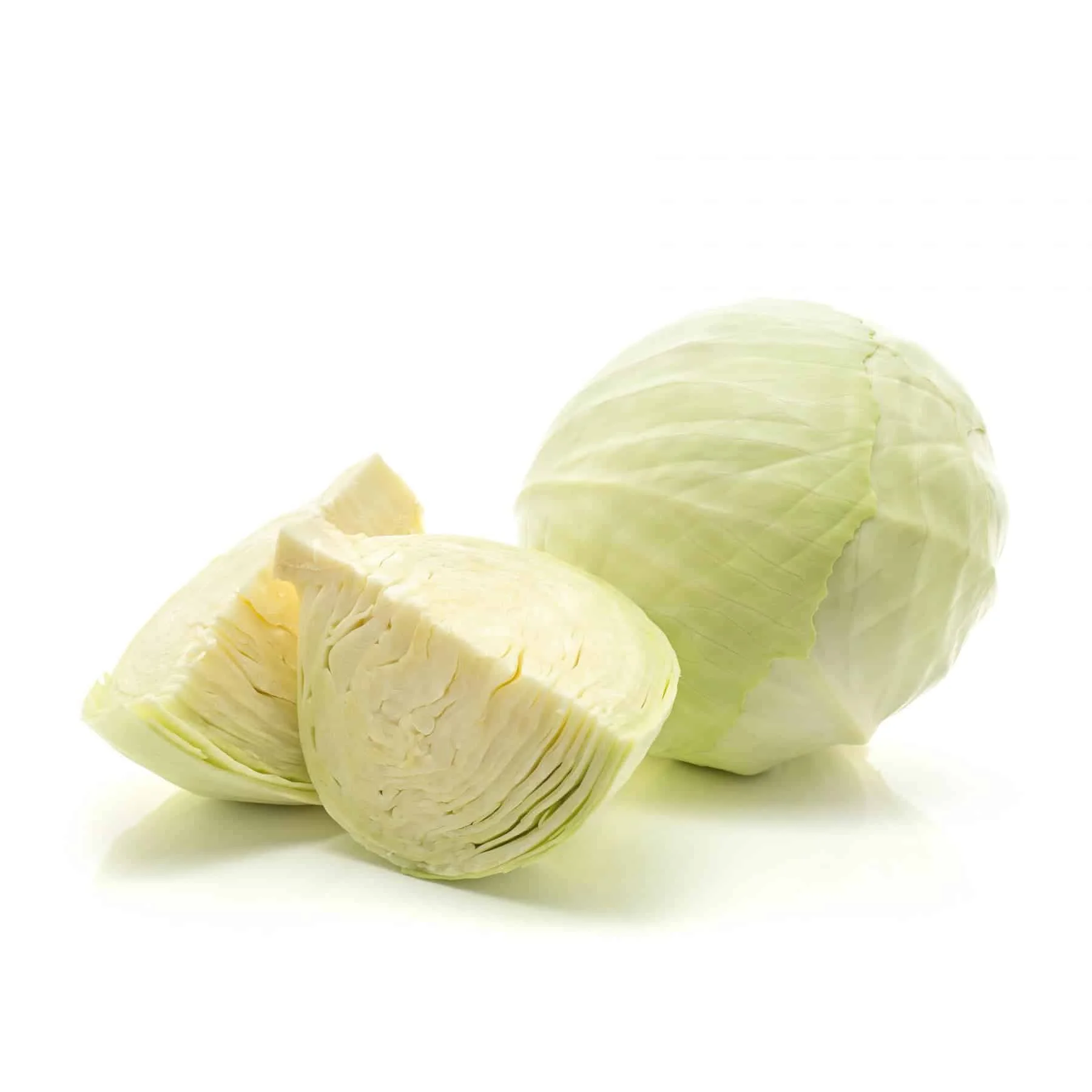Top quality Great Value Bulk Fresh For Wholesale Natural Chinese Cabbage