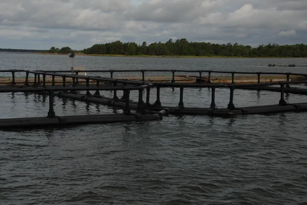 Fish Farming Cage floating fish cages