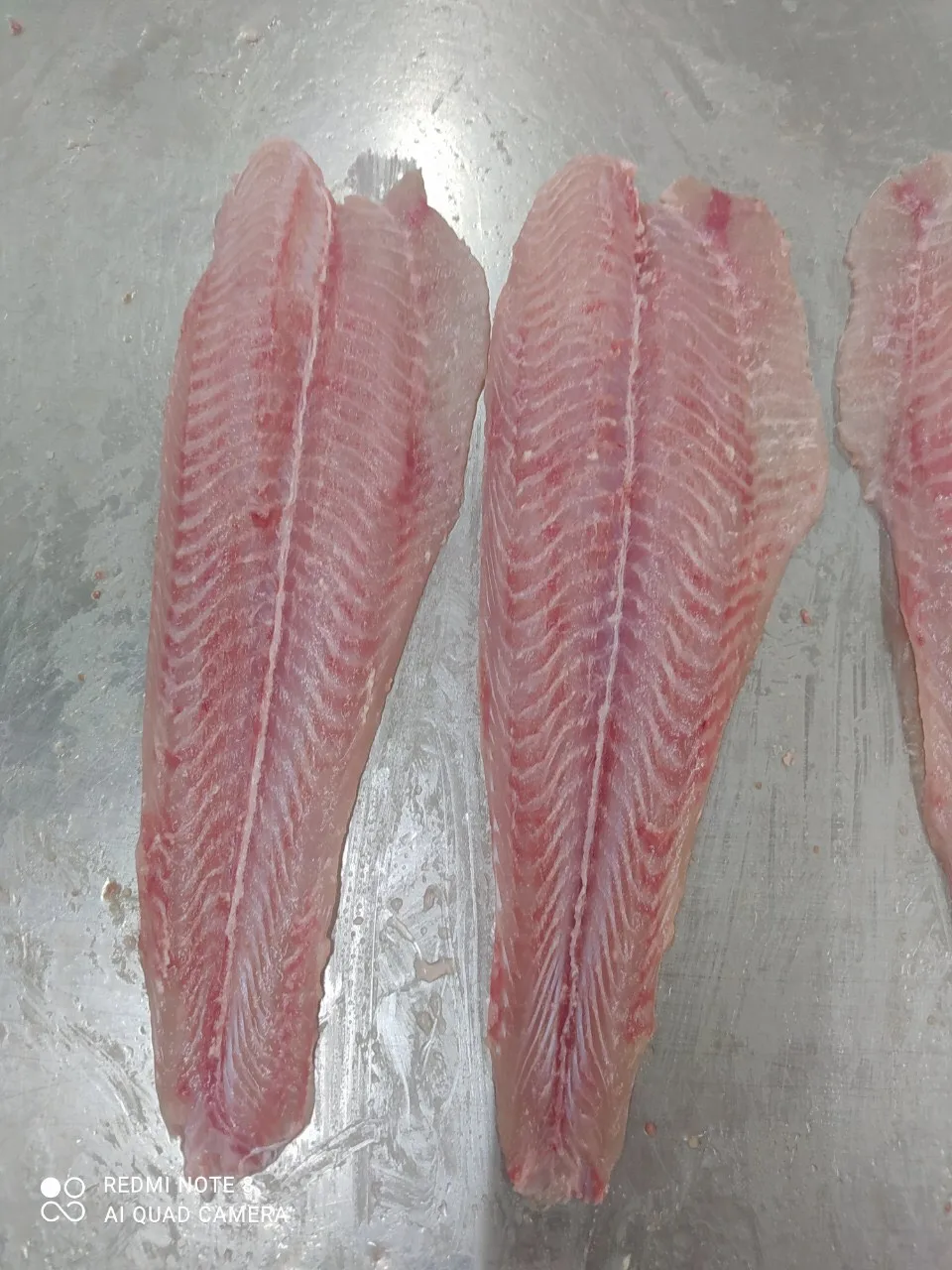 Best Seafood Pangasius/ Basa fish fillet, Untreated VietNam Product