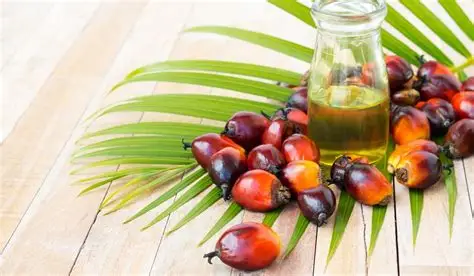 100 % REFINED COOKING PALM OIL