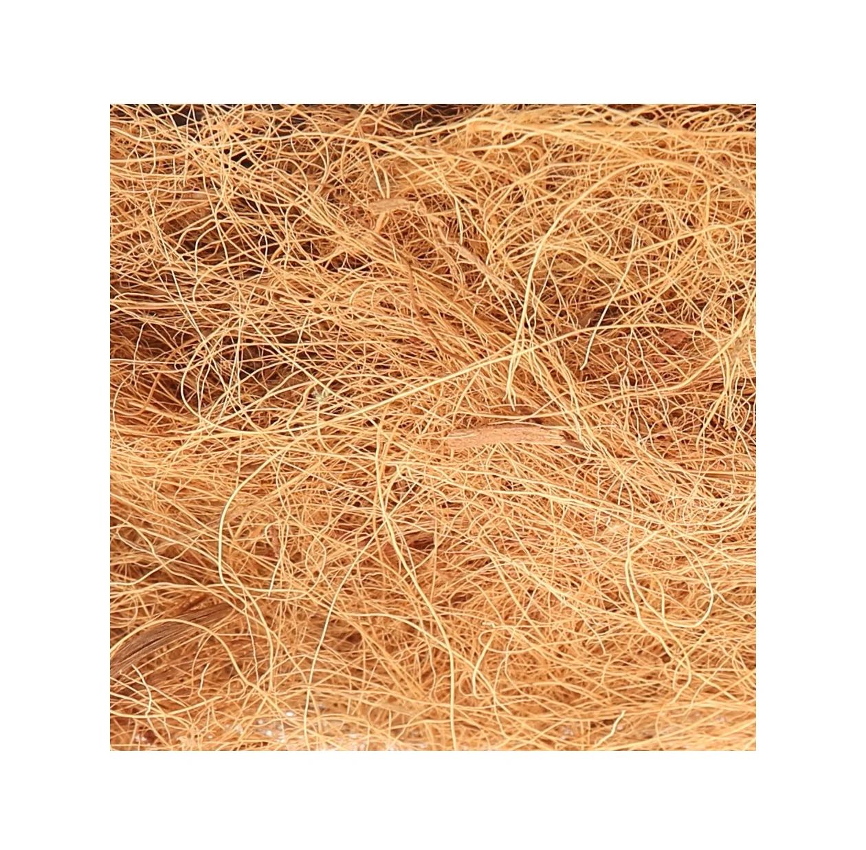 Wholesaler Coconut Coir Fiber Machine for Making Furniture With Best Quality for Export