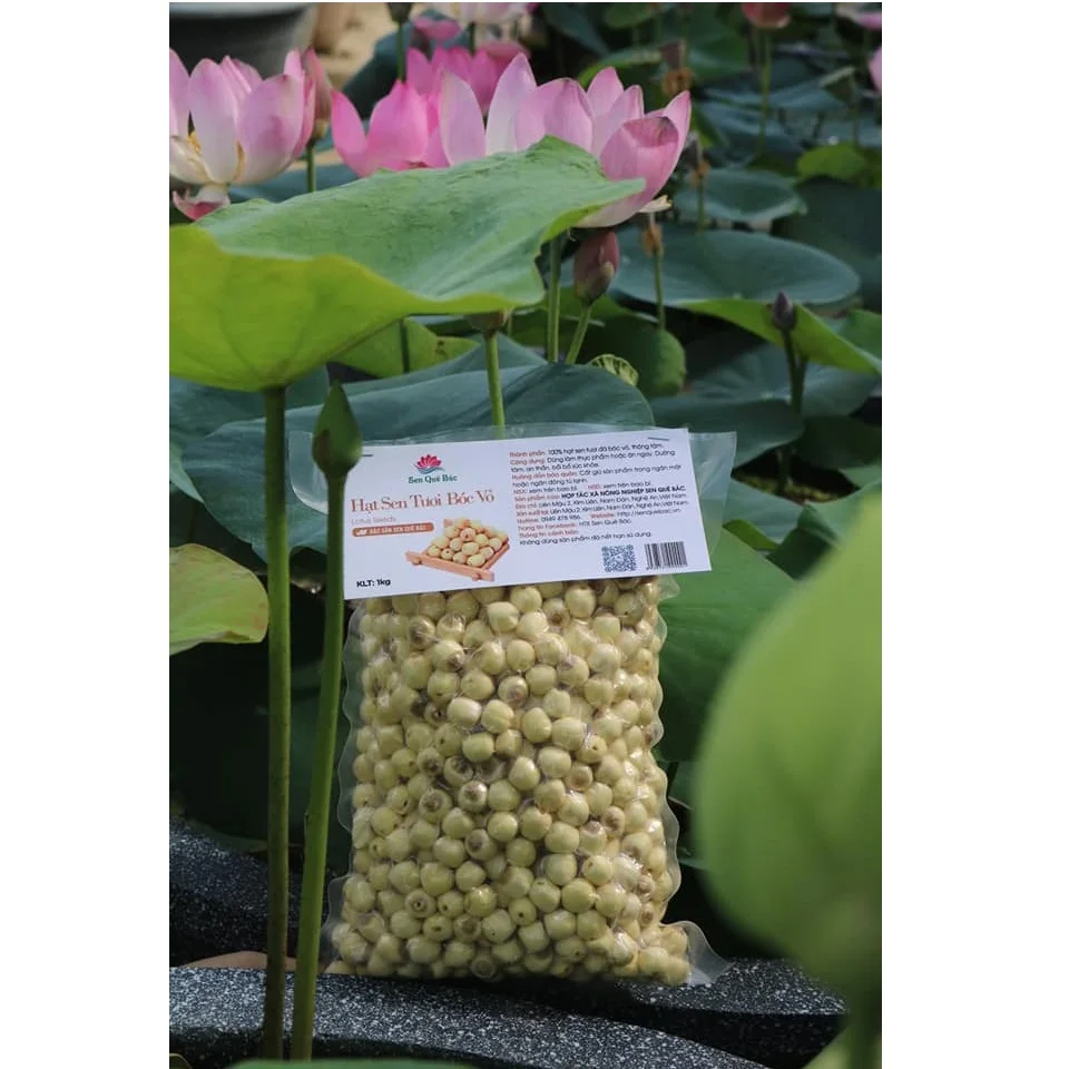 Wholesale Natural Healthy and Nutritious Flower Seeds White Fatty Tasty Fresh Peeled Lotus Seeds For Food/Cook From Vietnam