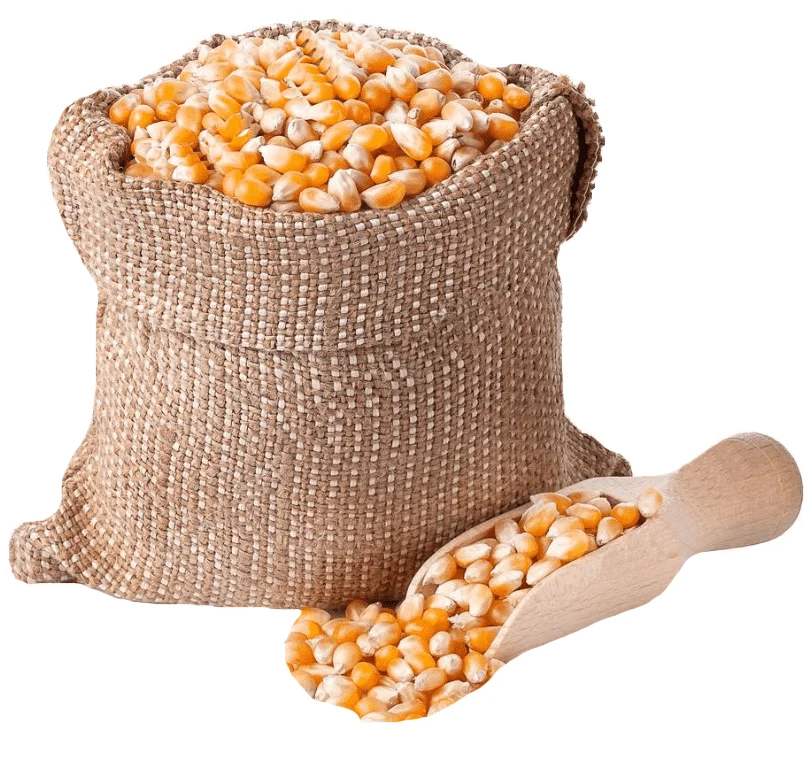  Vietnamese Yellow Corn Best Price Wholesale - Vietnam Maize export to Korea Japan UAE etc yellow corn for animal