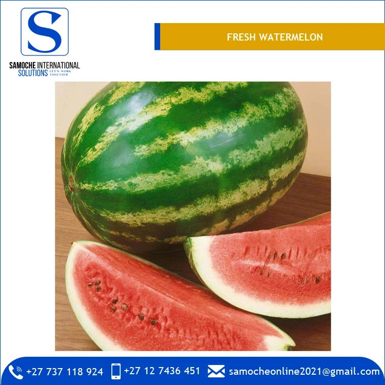 
Delicious Taste Premium Quality Bulk Fresh Watermelon from South Africa 