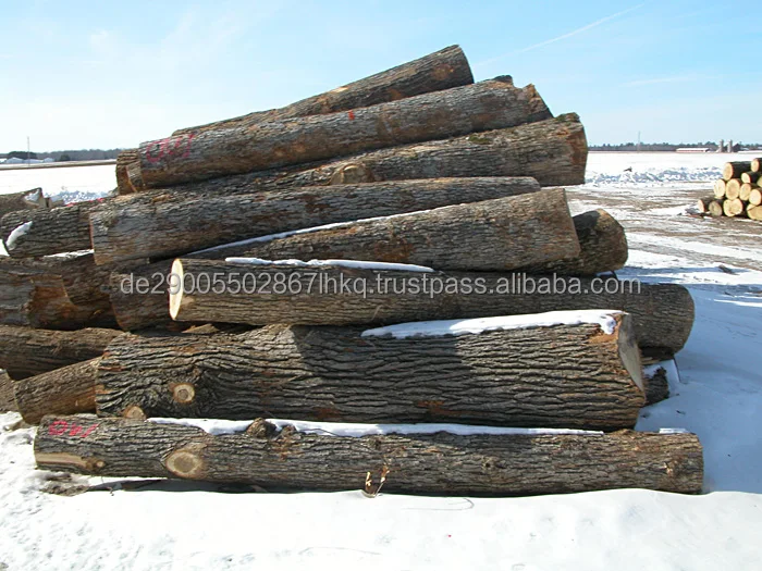 whiteoak2_sawlogs.jpg