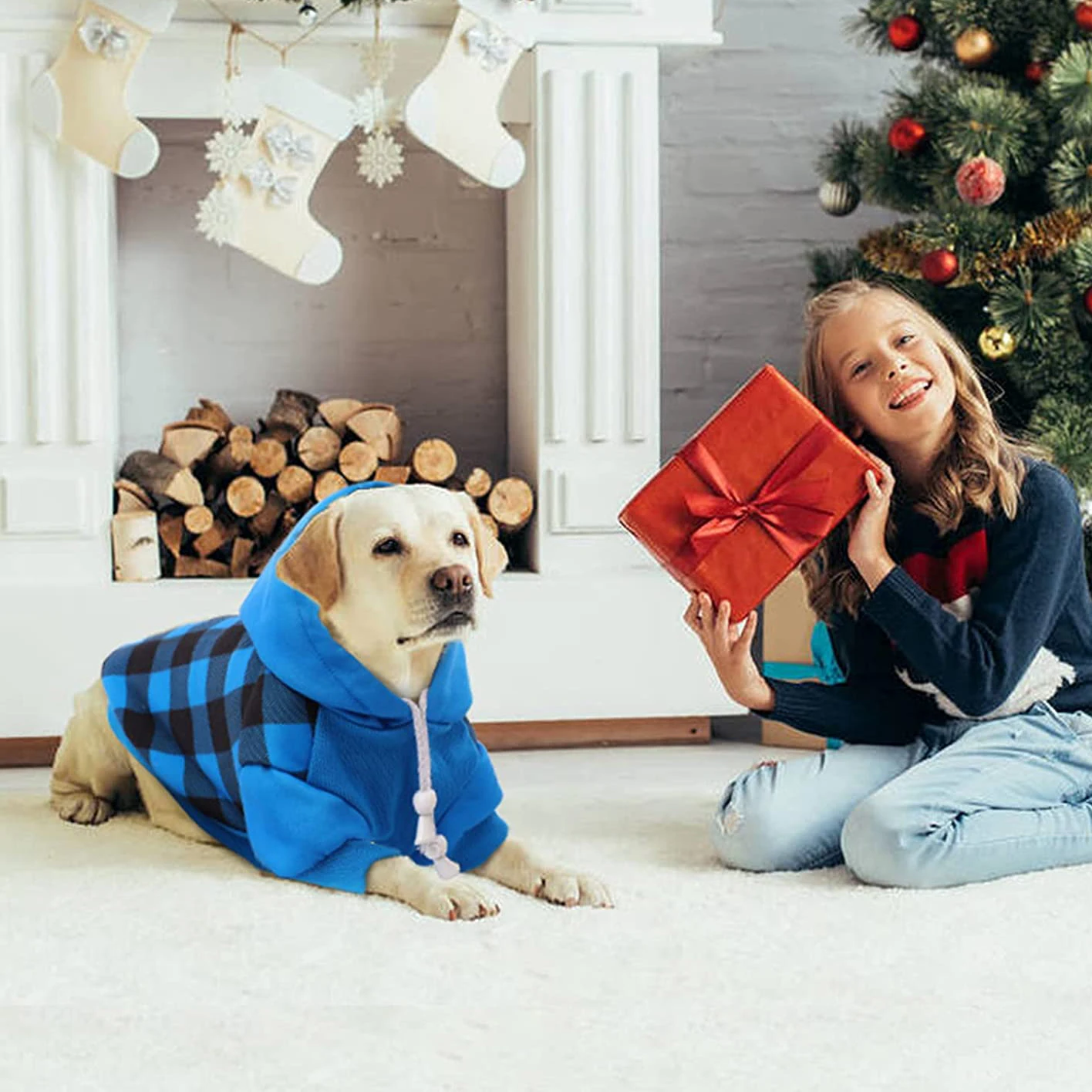 Plaid Dog Hoodie for Small Medium Dogs Soft Cotton Pet Clothes Sweaters Coat for Autumn/Winter Cold Weather/Spring