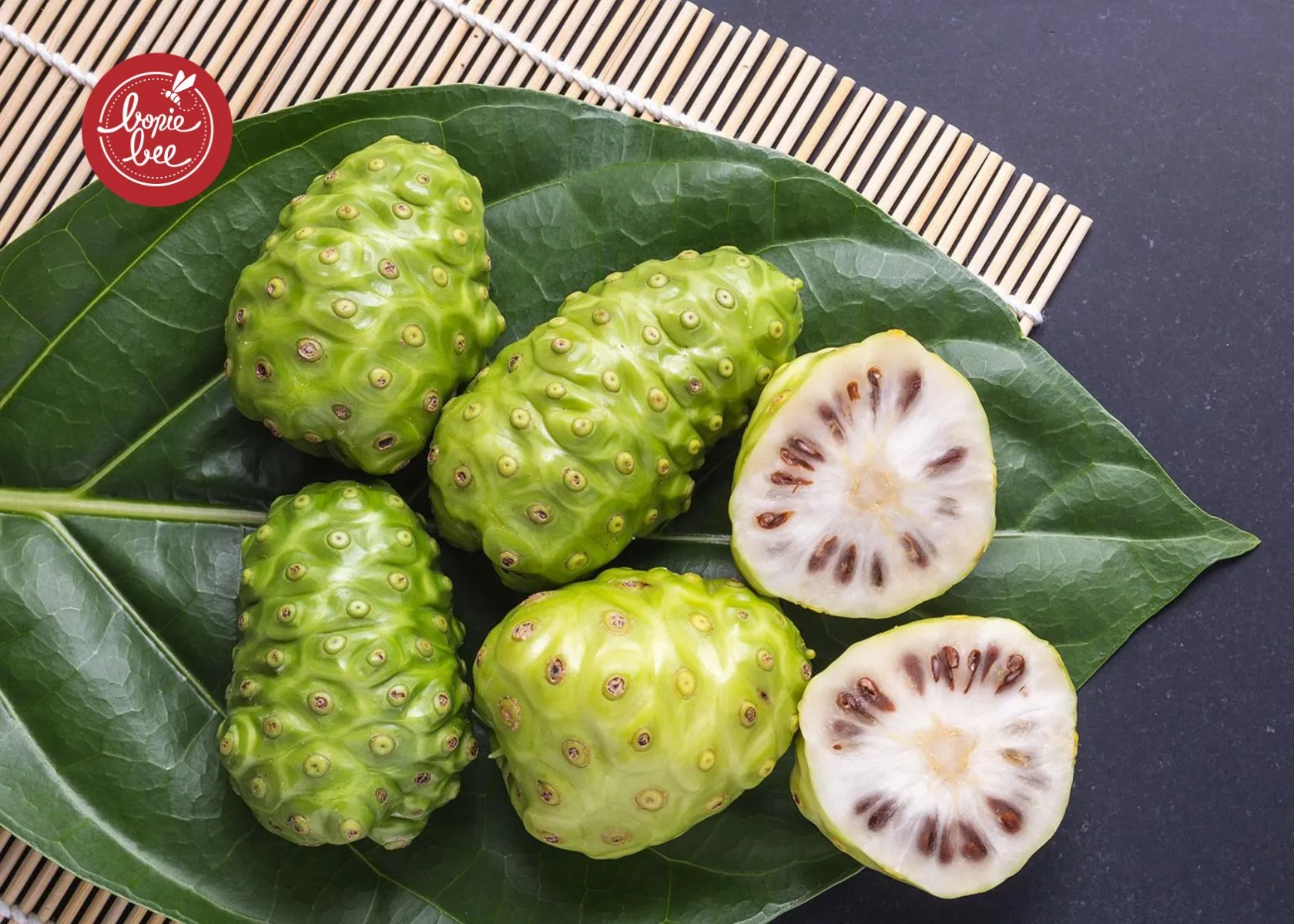 
Fresh Noni Fruit Extract Powder - Vietnam Premium Noni Extract OEM Services 