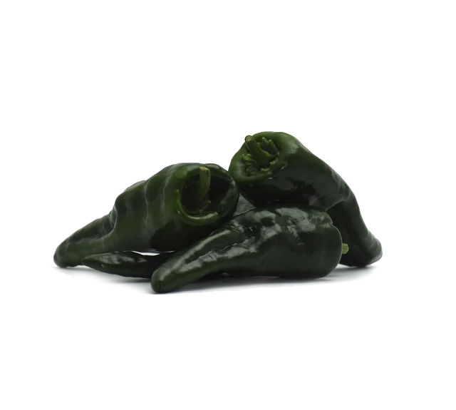 Fresh Organic Poblano Hot Spicy Chilli Pepper