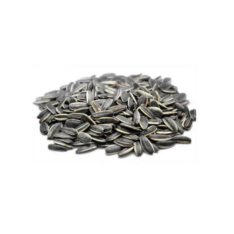 sunflower seeds wholesale large sunflower seeds for planting