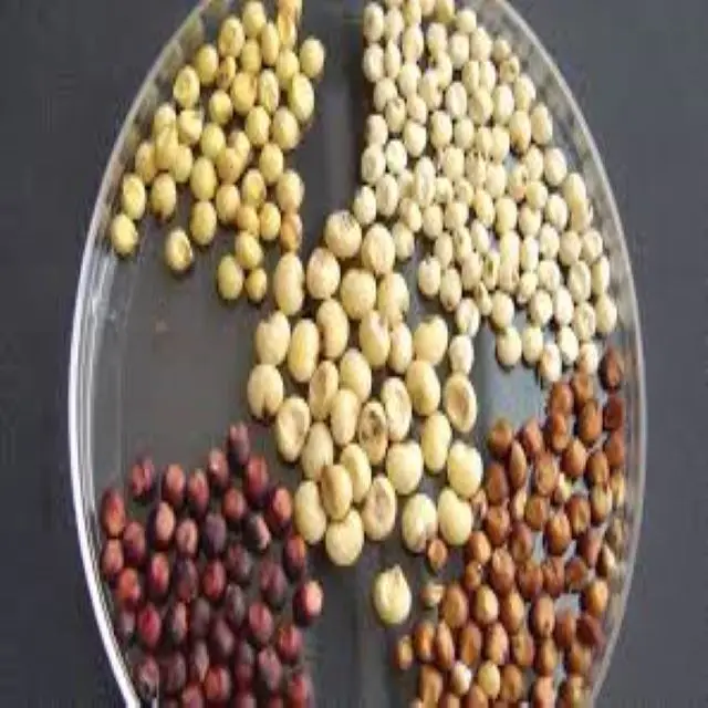 Сушеные органические зерна семени сорго