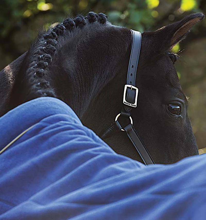  Оптовая продажа теплые коврики для конного спорта Equine дышащий устойчивый флисовый ковер лошадей оборудование покрывала под