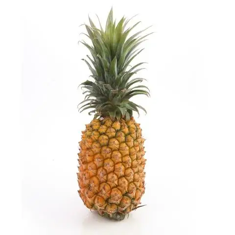 Hot Sales Cheap Price Fresh Pineapple