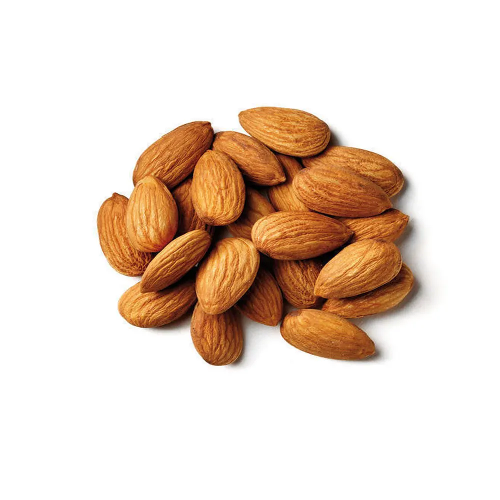 Almond Factory Wholesale Cheap Price Nutritional Baked Sweet Almond Delicious Apricot Kernels