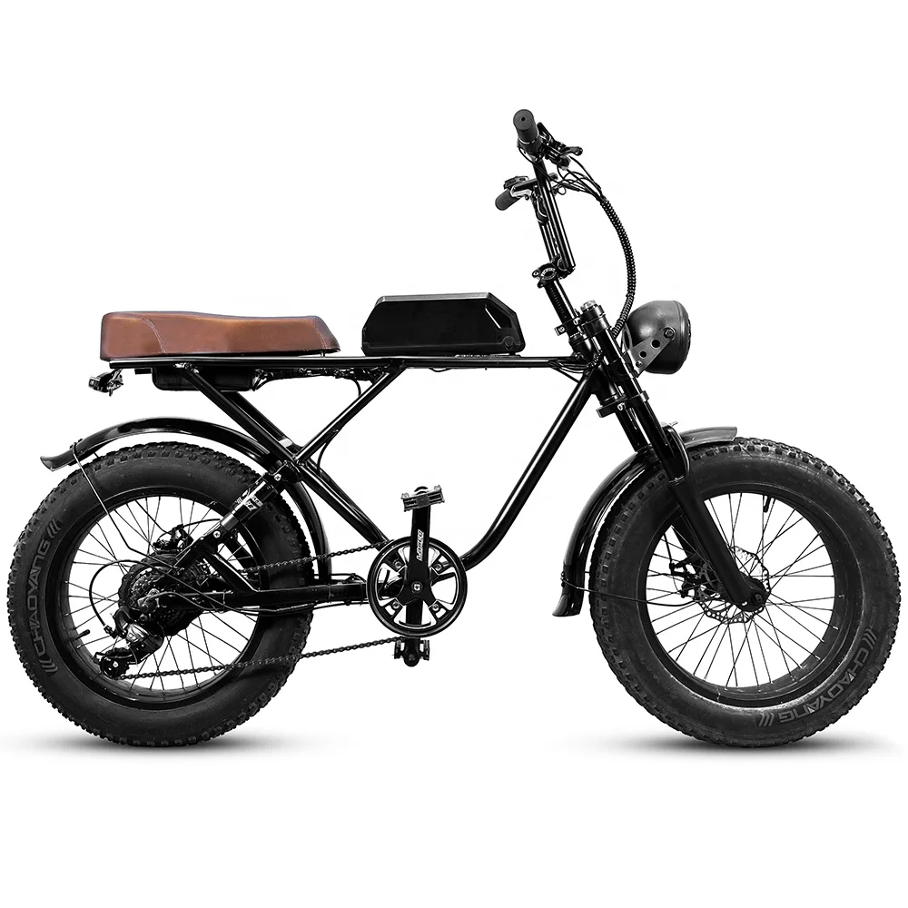 High Quality Custom 500W Motor Dirt Tire Style Off Road Ebike Vintage Beach Electric Bike