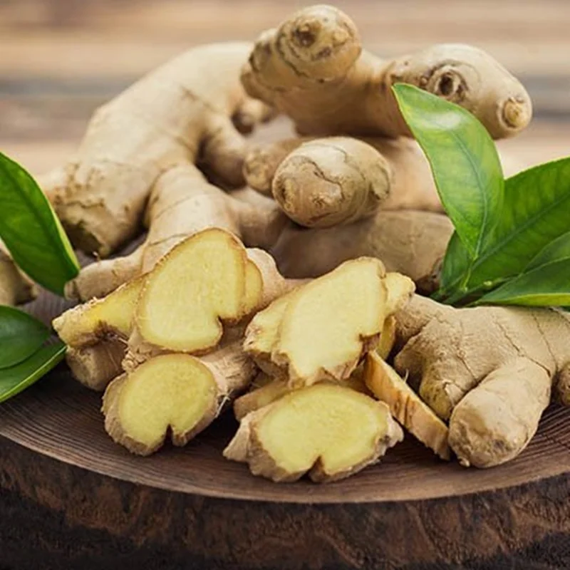 Чистое 100% натуральное имбирное масло корневища с сертификацией GMP и HALAL из Вьетнама/Jolene + 84 336089155