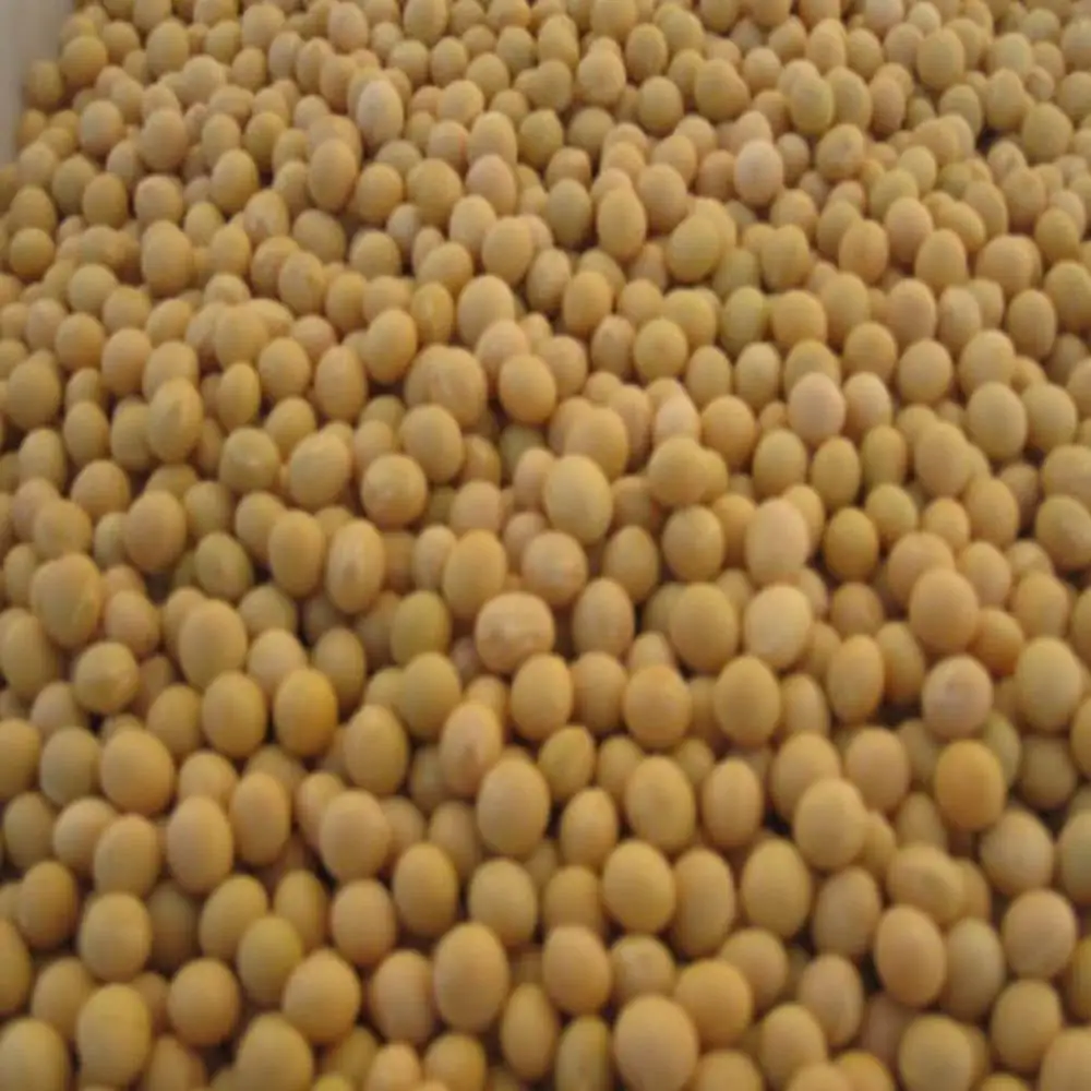 NON-GMO соевые бобы