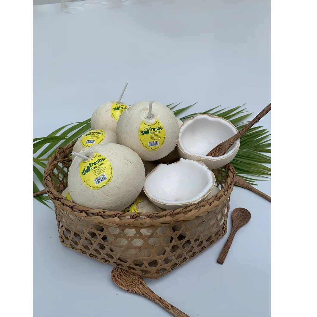
Wholesale Good Price Natural Whole Fresh Convenient Coconut Good For Health From Vietnam 