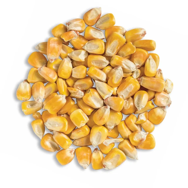 High-quality Frozen Dried Super Dried Yellow Sweet Corn for Sale