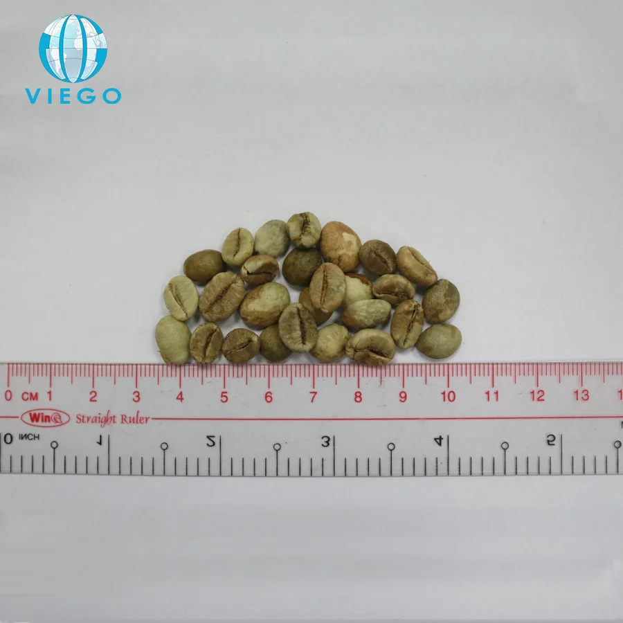 Экспорт самые дешевые вьетнамские зеленые кофейные зерна Robusta класс 1/AA экран 18 стандарт
