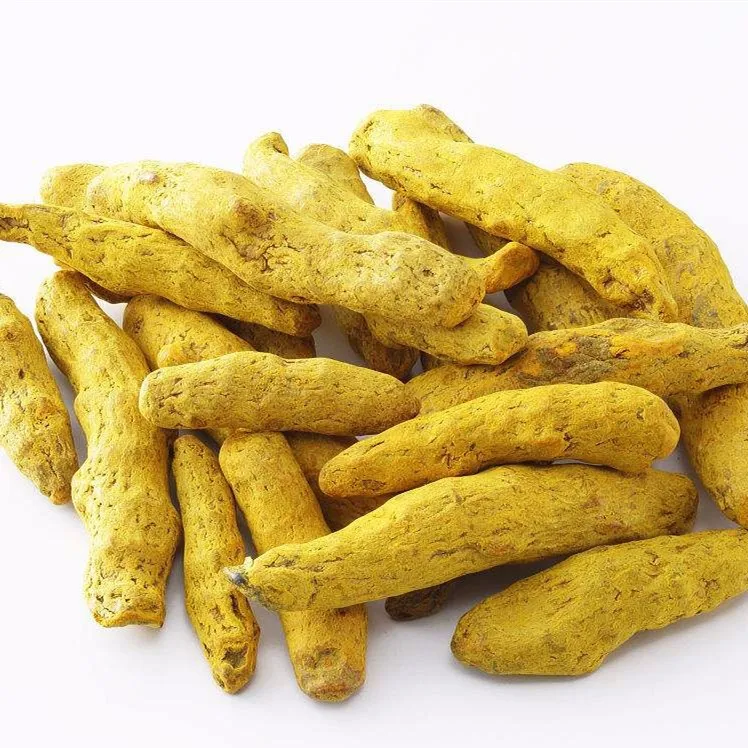 100% Natural Part Turmeric Single Herbs & Spices Fresh Raw Piece Yellow from CA;9 Allspice 20 Kg with 2 Years Shelf Life