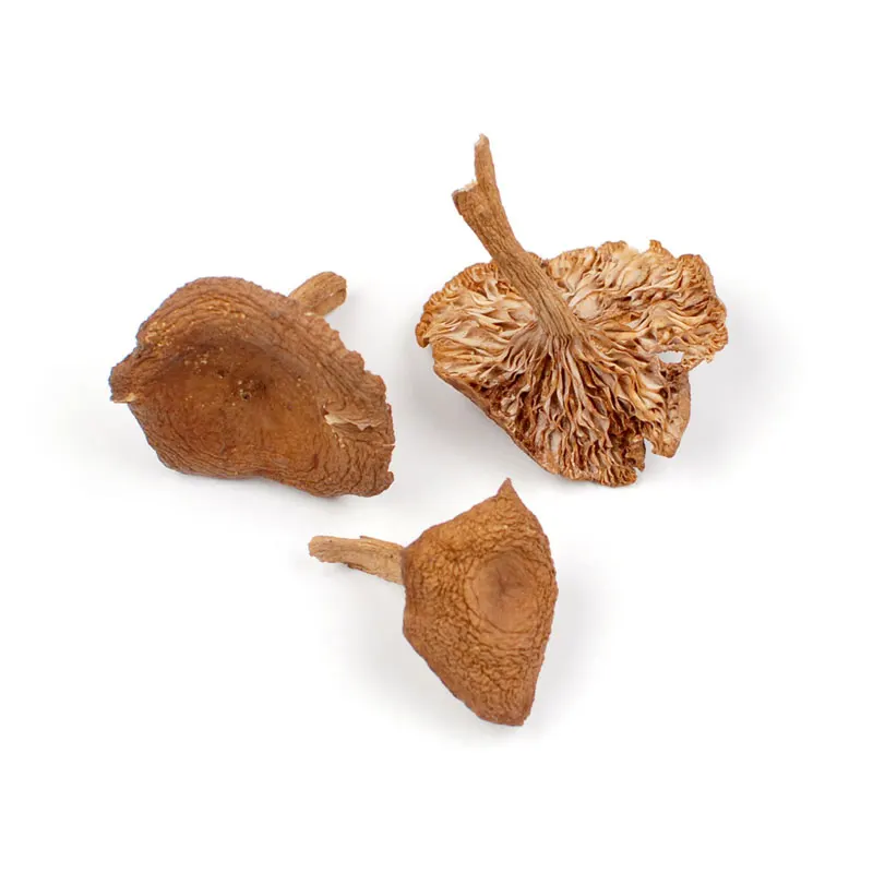 Candy Cap Mushrooms 1 lb bag / box each