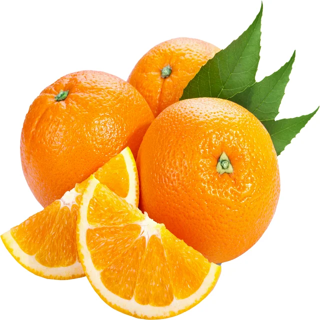 ORANGE CULTIVATION  TYPE AND ORANGE COLOR NAVEL ORANGE FOR EXPORT