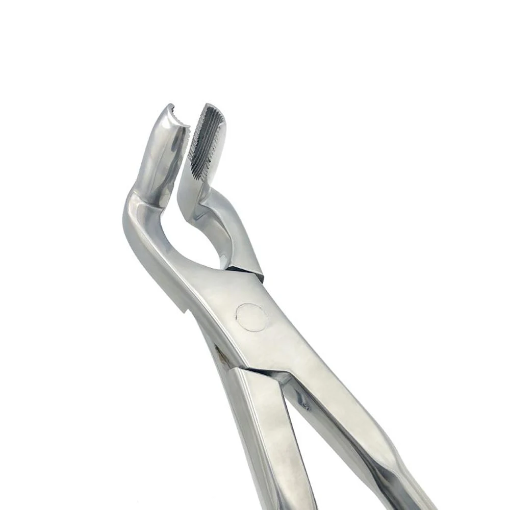 Veterinary Teeth Forceps High Quality Tooth Rasps Tooth Rasp For Animals Applicator Tooth Cutter Extracting Forceps Dental
