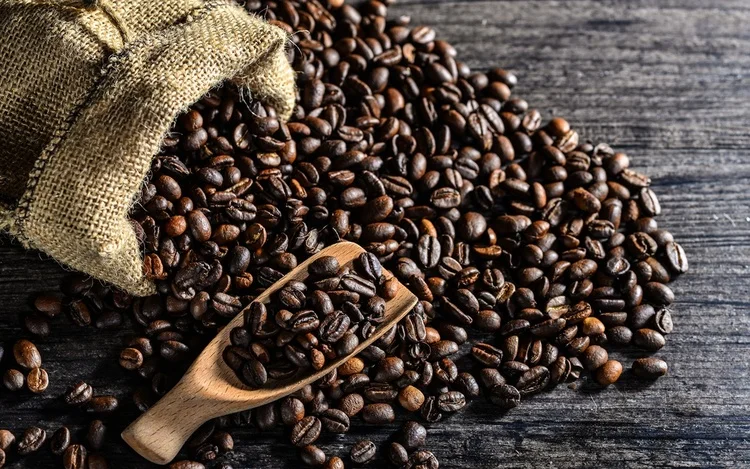 Wholesale price Green Bean Coffee Arabica Specialty Coffee Beans Roaster  Roasted Vietnam Coffee Beans