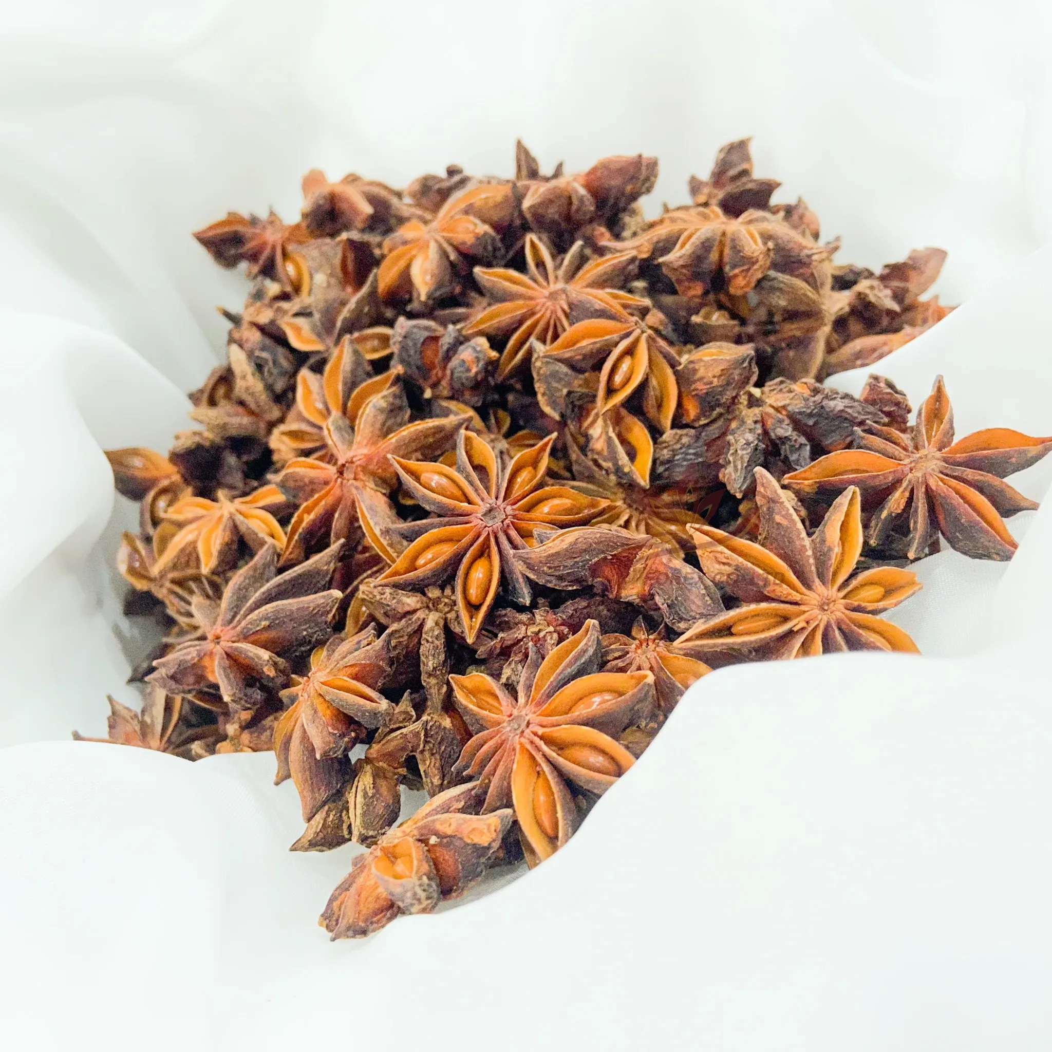 Whole Star Anise Grade AA High Quality Autumn Crop Big Size Rich Oil Content Product by Factory Origin from Vietnam