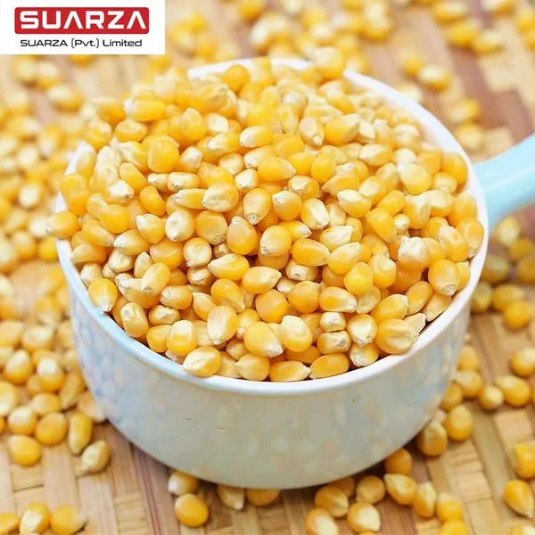Пакистанская Желтая Кукуруза класса 2