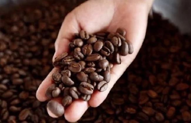 
Shipping Worldwide Coffee Beans Arabica Mangling Coffee Slightly Sour Taste ith Natural Sweet Finish 