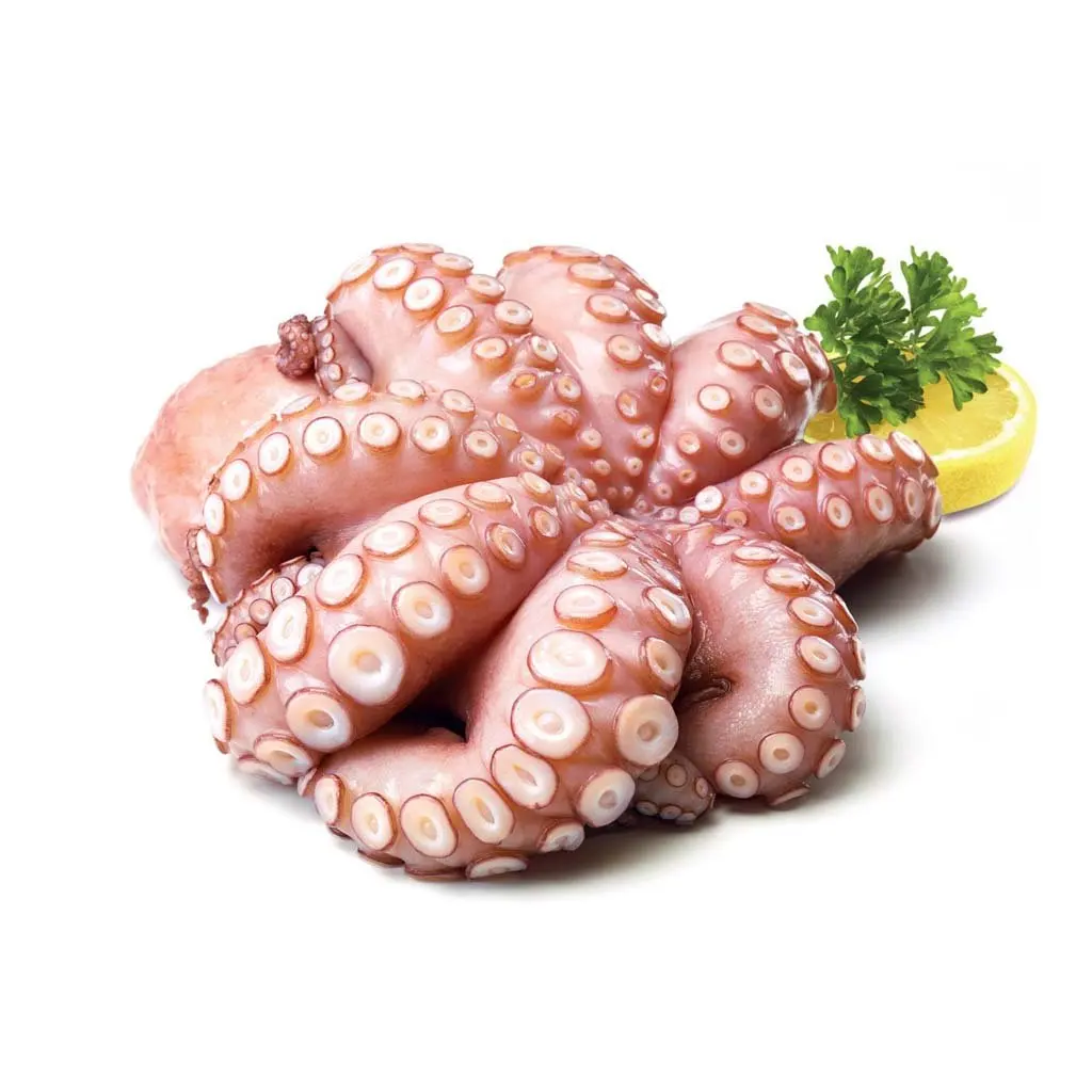 Frozen Octopus Baby Octopus Fresh Seafood