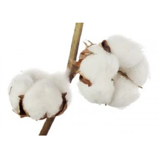 NATURAL RAW COTTON FIBER